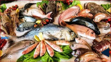 تحديث الأسعار.. تعرف على أسعار الأسماك والجمبري في الأسواق الأحد 5 أكتوبر 2025